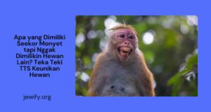 Apa yang Dimiliki Seekor Monyet tapi Nggak Dimilikin Hewan Lain Teka Teki TTS Keunikan Hewan