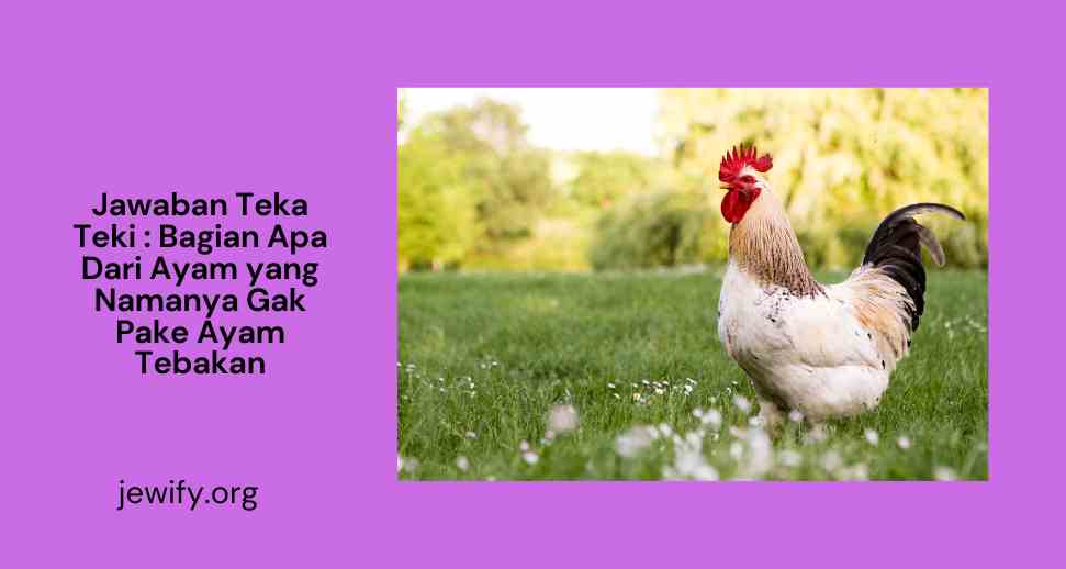 Jawaban Teka Teki Bagian Apa Dari Ayam yang Namanya Gak Pake Ayam Tebakan